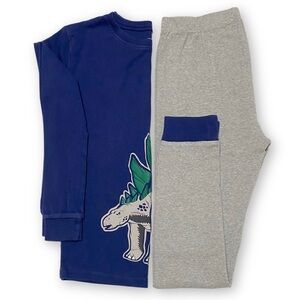 Carter’s Boys Size 12 Dinosaur Stegosaurus 2 Piece Cotton Long Sleeve Pajamas